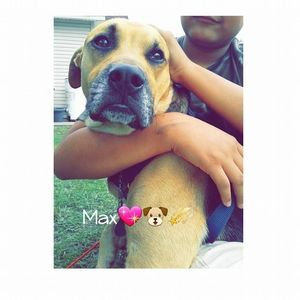 Meet your Posher, Itzel