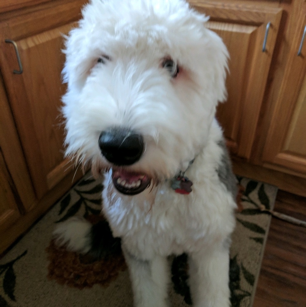 Meet your Posher, Mary ann