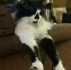 Meet your Posher, Pat