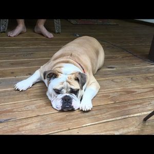 Meet your Posher, Joni