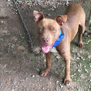 Meet your Posher, Jerrod