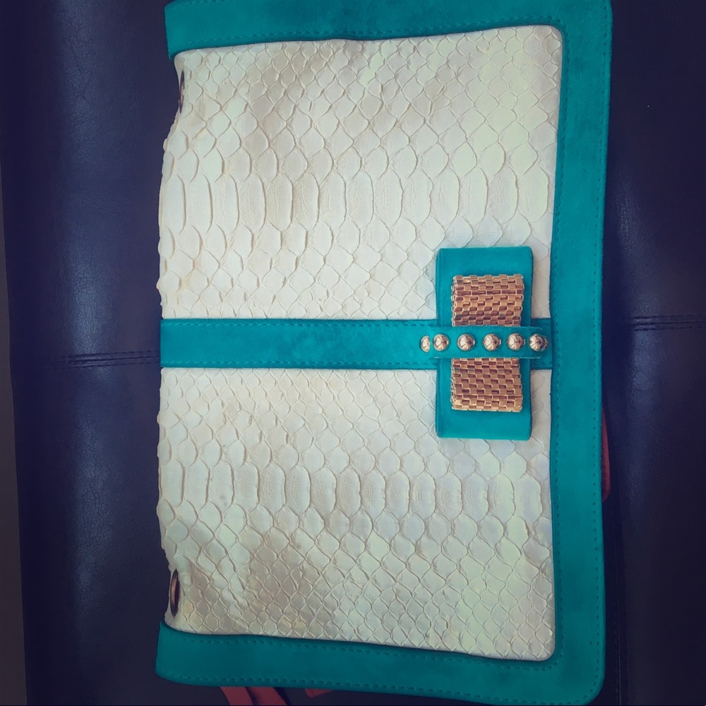 Lightly worn CL Snake Skin purse/ clutch.