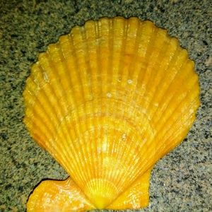 Meet your Posher, Alicia