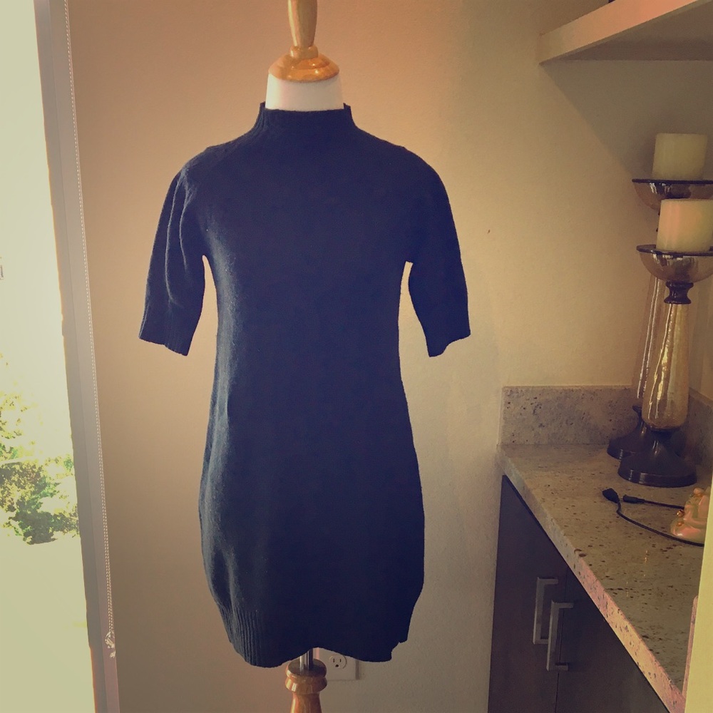 Max studio sweater dress