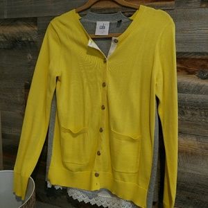 Cabi colorblcked sweater