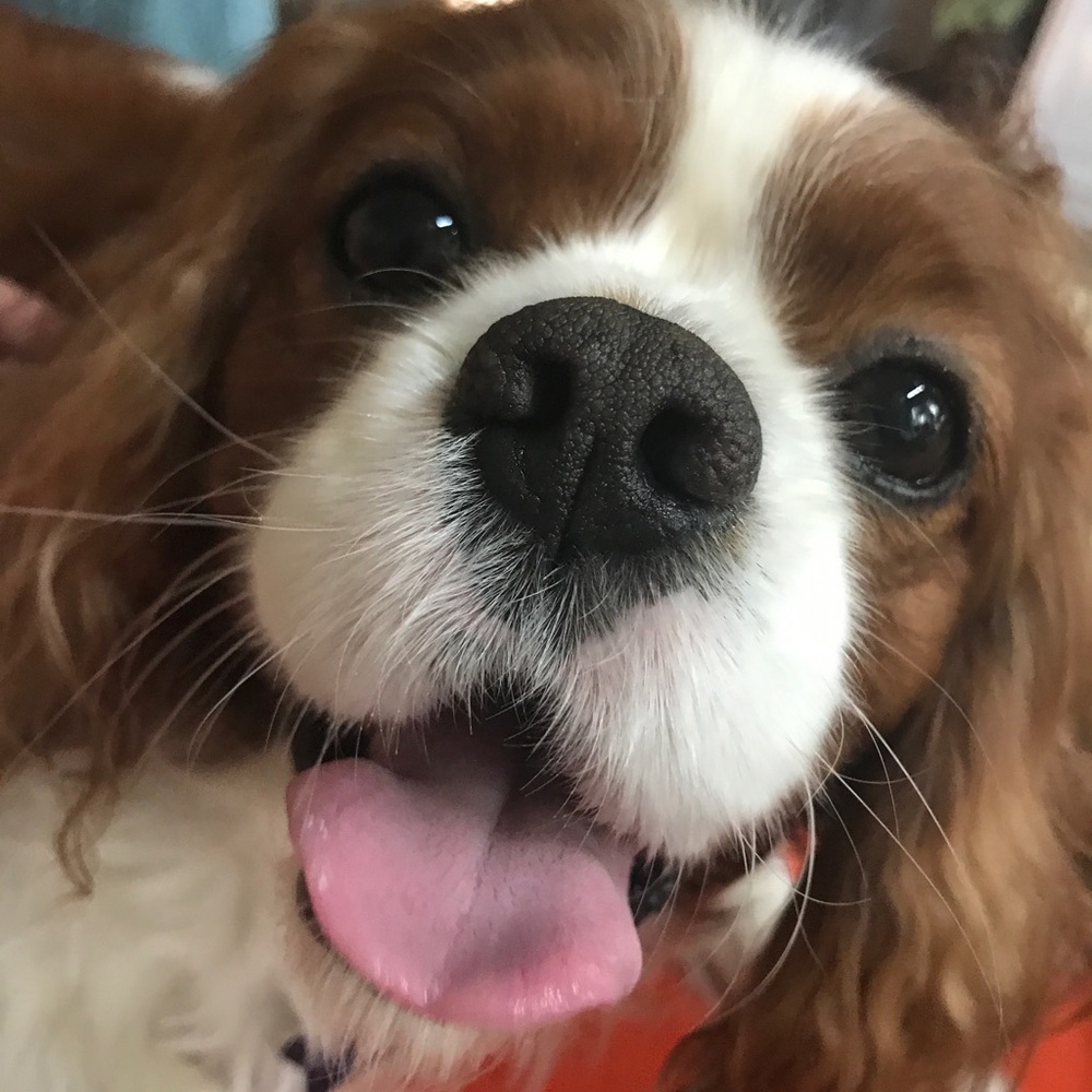 NO TRADES. NO NEGOTIATING.