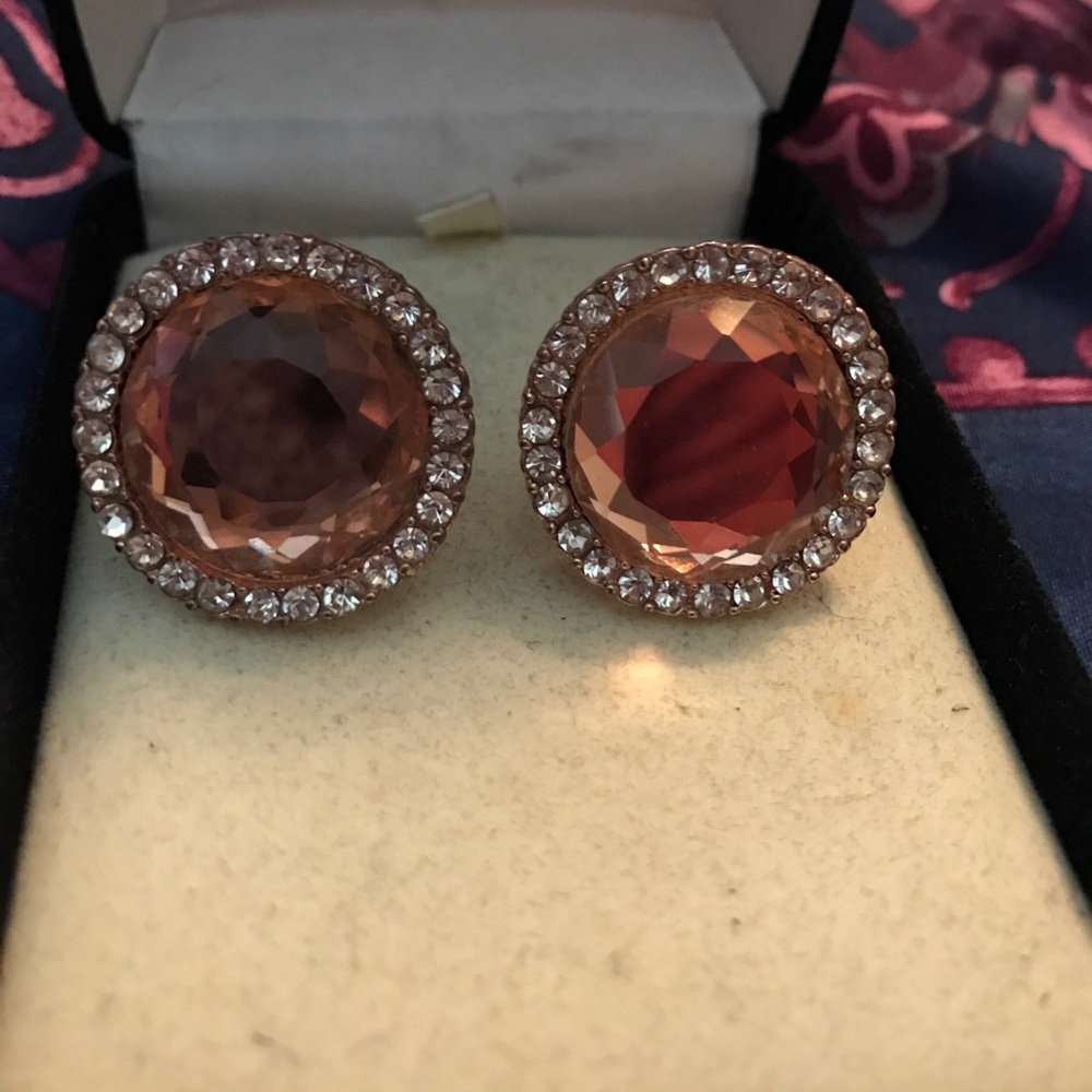 Rose Gold Earrings