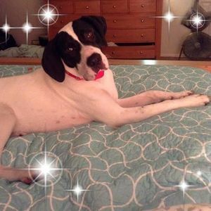 Meet your Posher, Jan