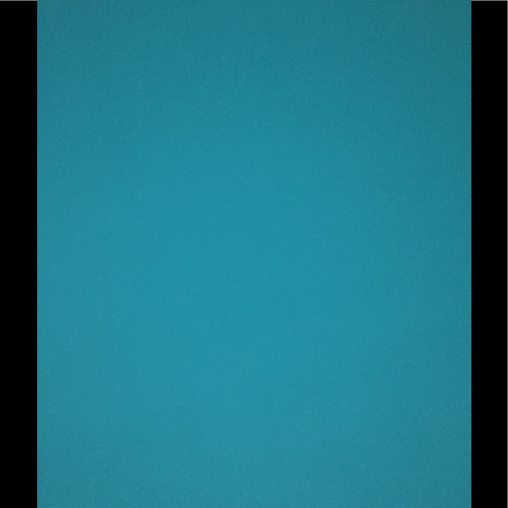 Meet your Posher, Ty