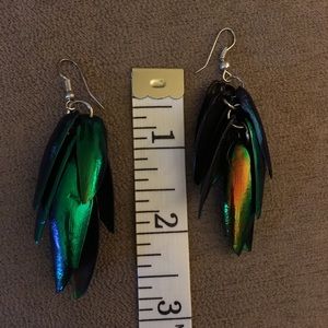Beetle Wing Earrings Iridescent Thailand Unique