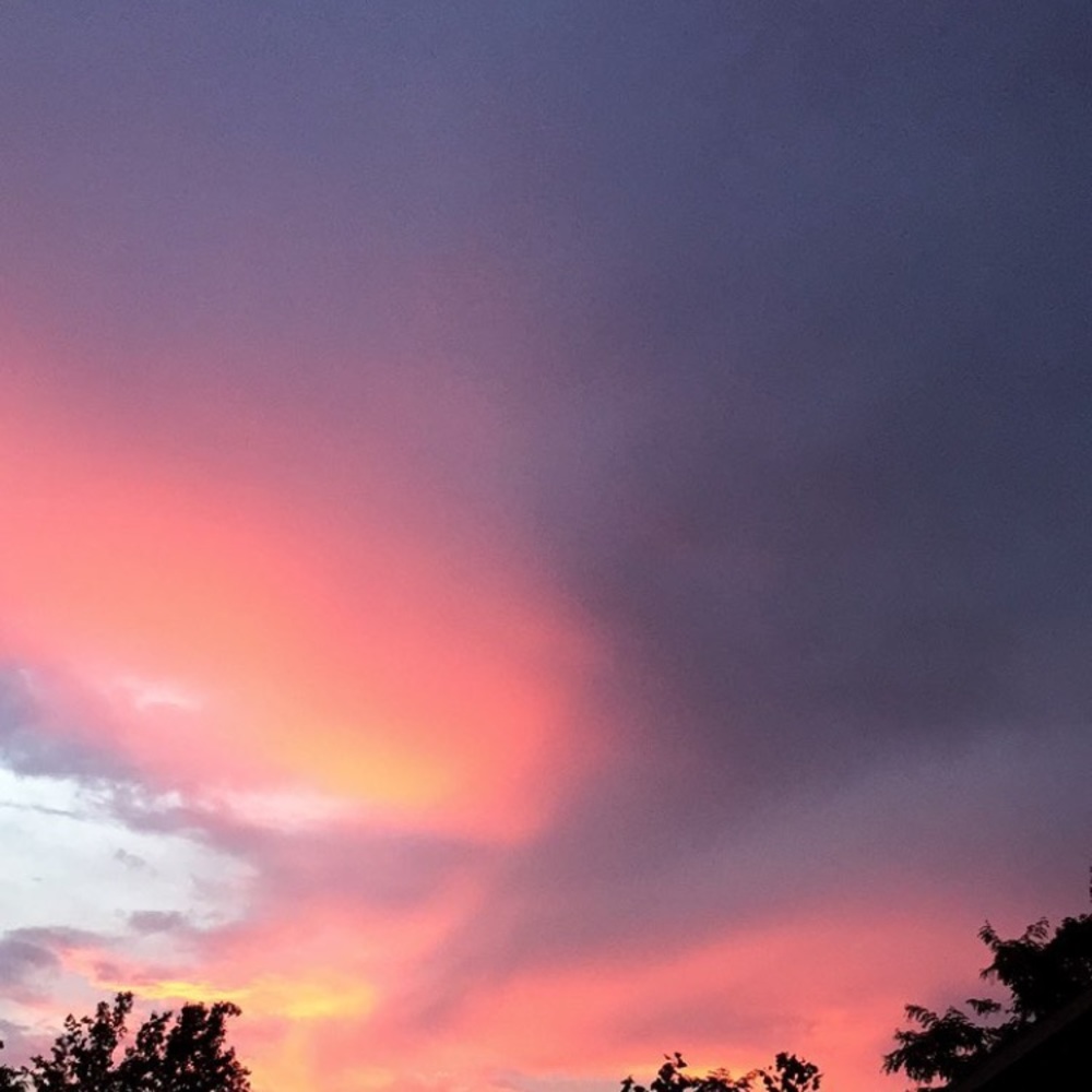 Meet your Posher, Ellie