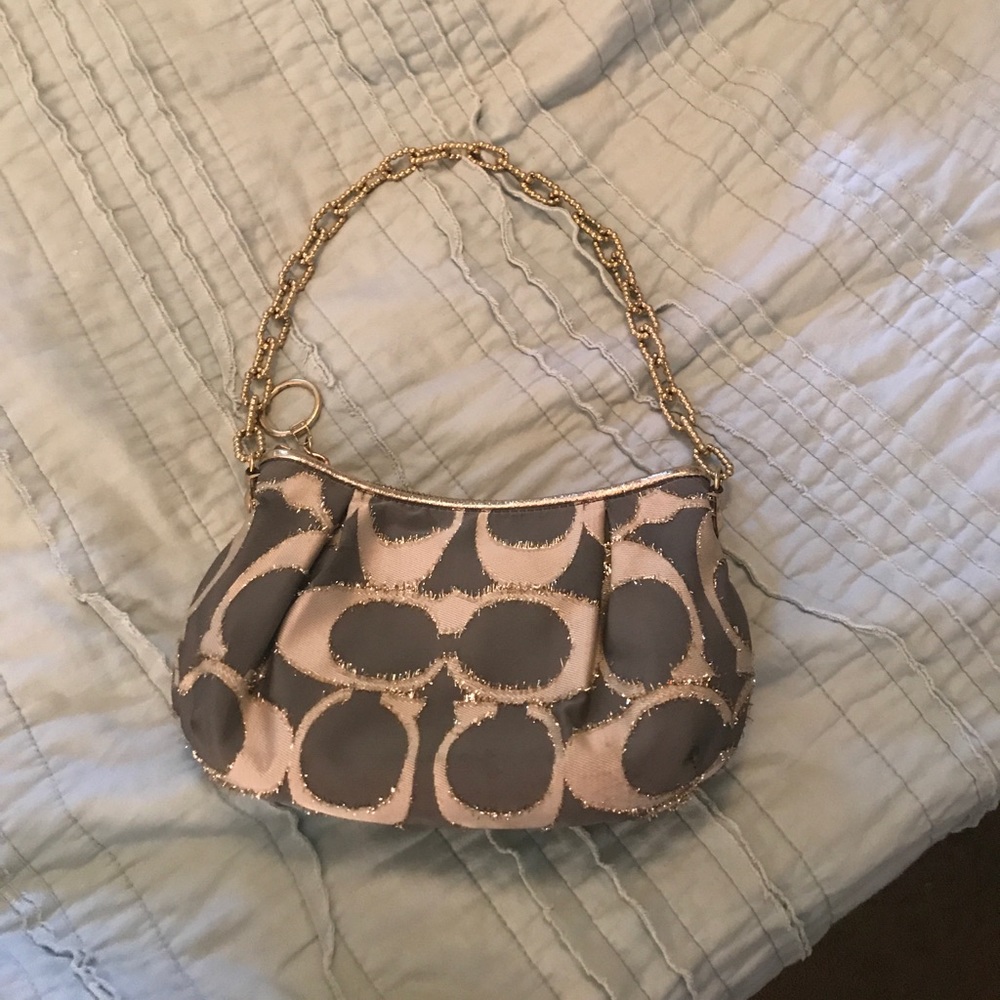 Dressy Evening Bag