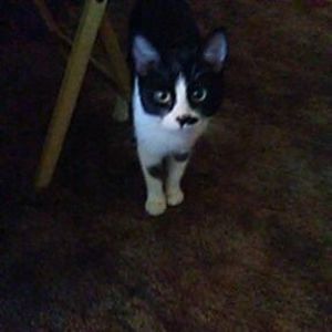 Meet your Posher, Connie