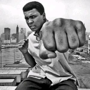 Meet your Posher, John