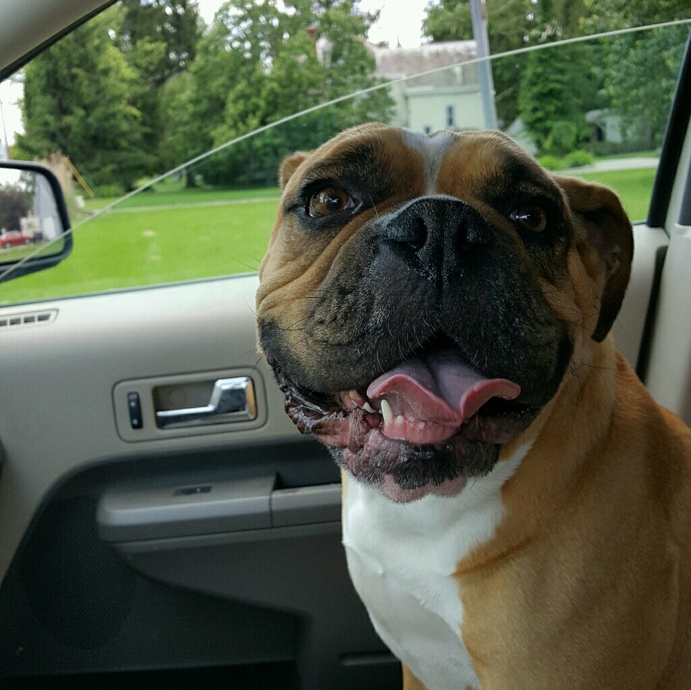 Meet your Posher, Heather