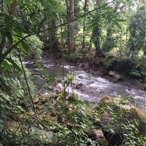 Meet your Posher, Moris