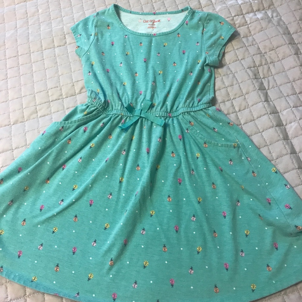 Girls XS Cat and Jack ladybug dress