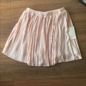 Pink Rosewater Skirt from Nordstrom Sz S NWT