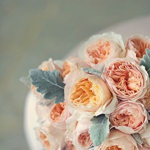 Meet your Posher, Jayleen