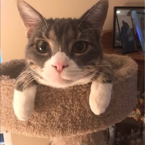 Meet your Posher, Ron