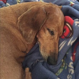 Meet your Posher, Jenny