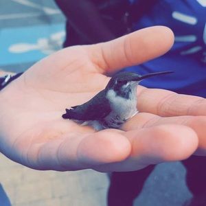 Meet your Posher, Leeann