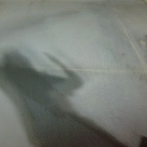 Meet your Posher, Walter