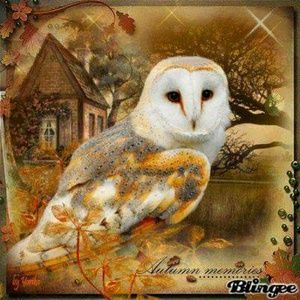 Meet your Posher, Aimee