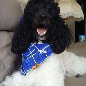 Meet your Posher, Patty kesling