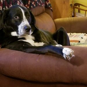 Meet your Posher, Diane