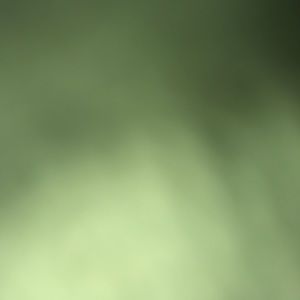 Meet your Posher, Reyna