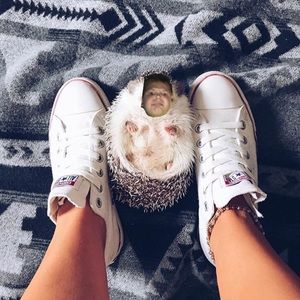 Meet your Posher, Taters