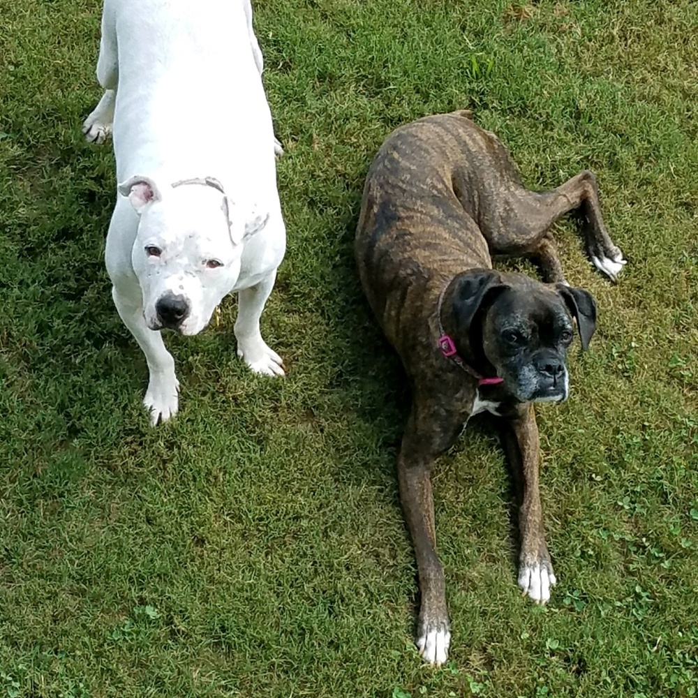 Meet your Posher, Paige