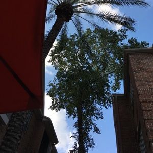 Meet your Posher, Zoe