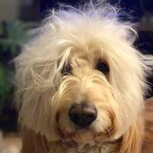 Meet your Posher, Kathleen