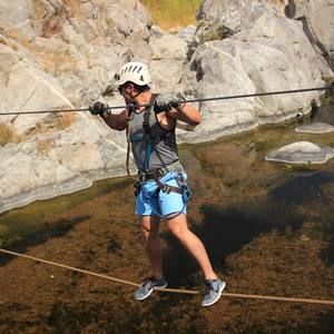 Meet your Posher, Donald