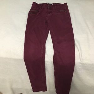 Maroon hollister jeans