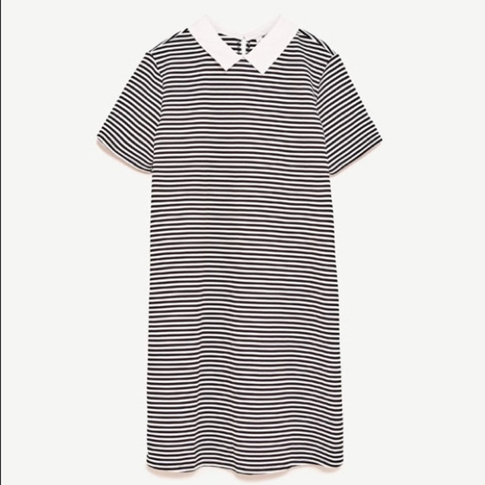 Zara Stripe Dress with Peter Pan collar