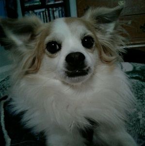 Meet your Posher, Cindy