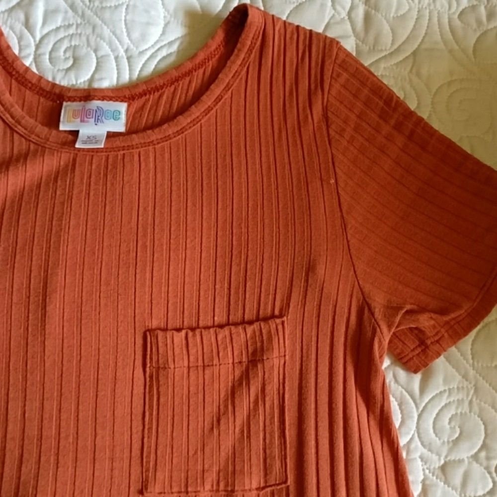 Gently used salmon lularoe carly