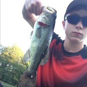 Meet your Posher, Cain