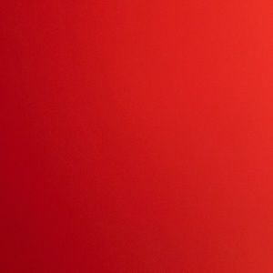 Meet your Posher, Bailey