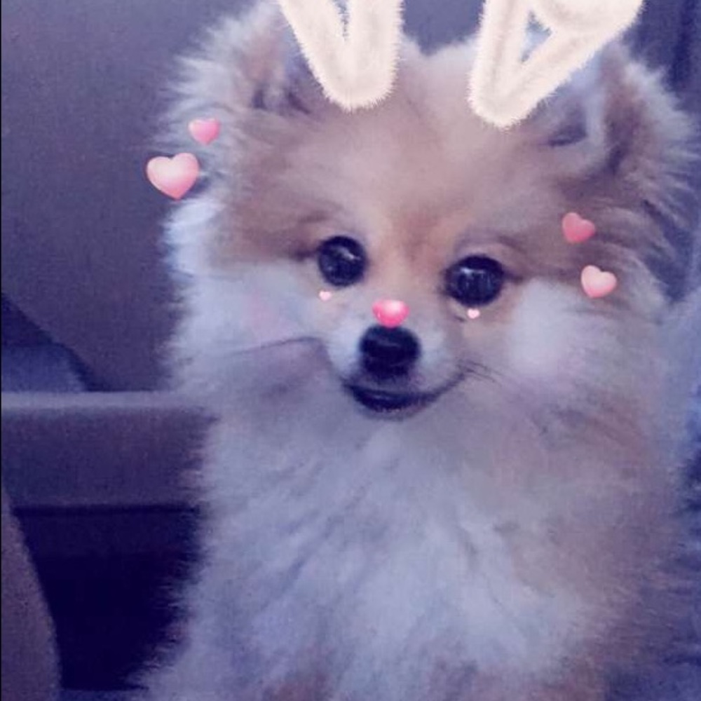 Meet your Posher, Marlene