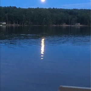 Meet your Posher, Max