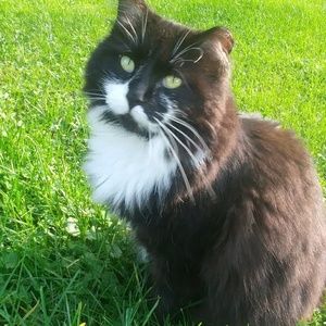 Meet your Posher, Stacie