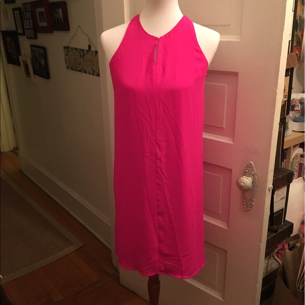 Exclusive The Limited Hot Pink Dress