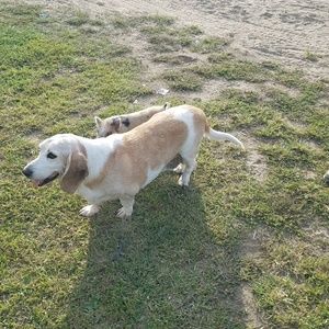 Meet your Posher, Jesse