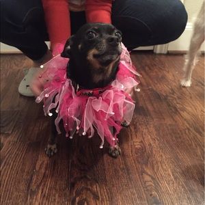 Meet your Posher, Carol