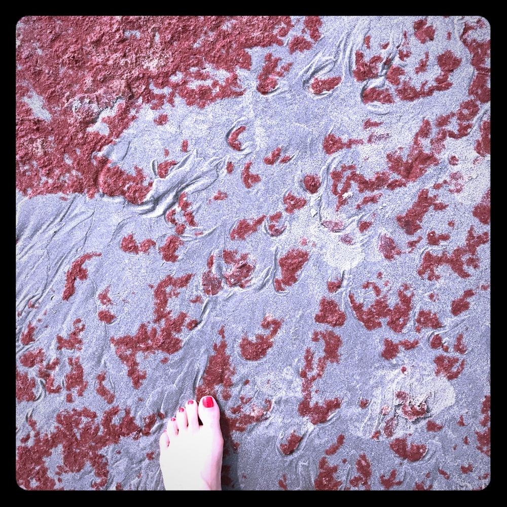 Meet your Posher, Erica