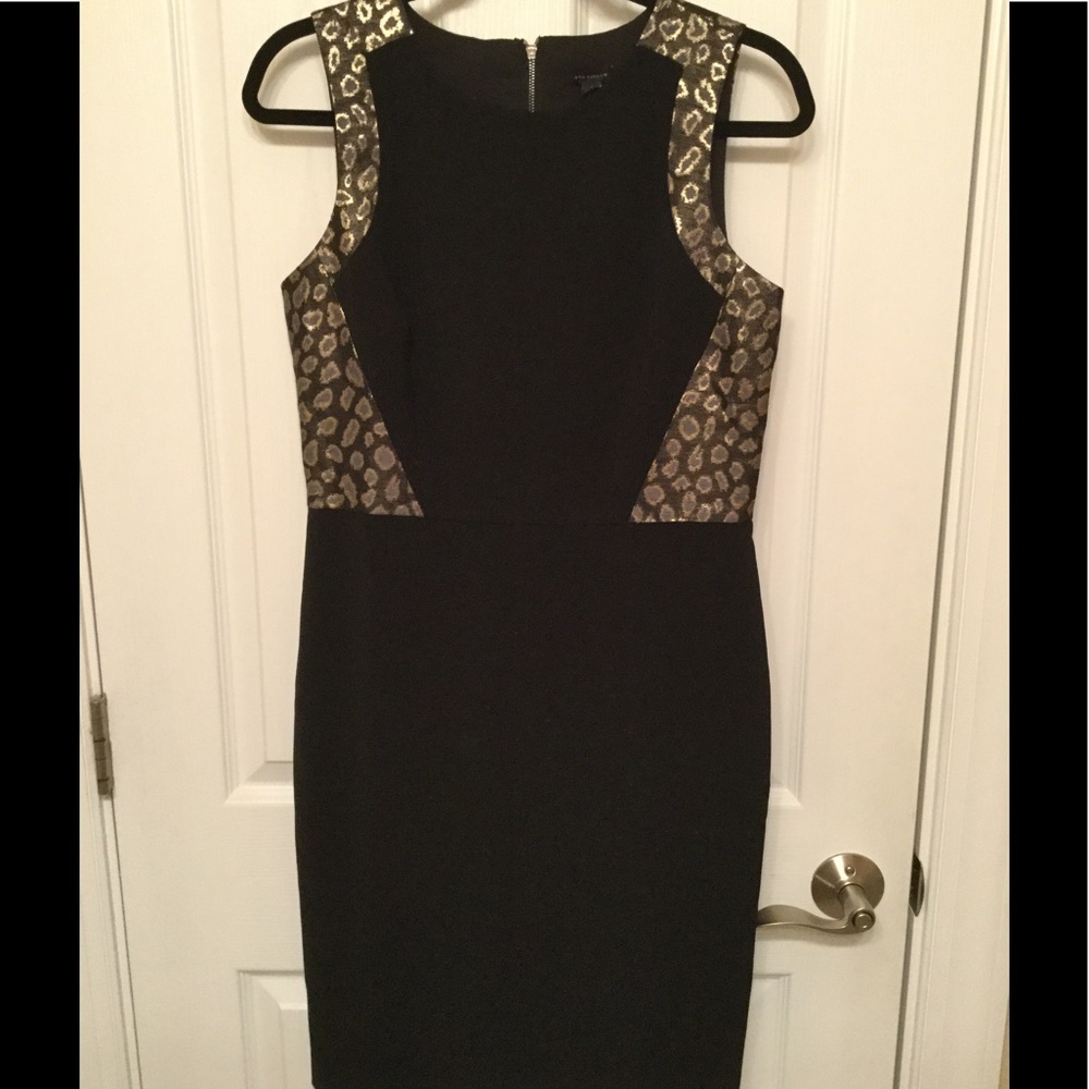 Ann Taylor dress
